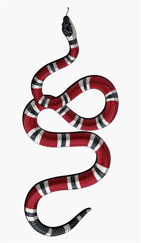 serpente gucci trasparentedrawing|gucci the snake meaning.